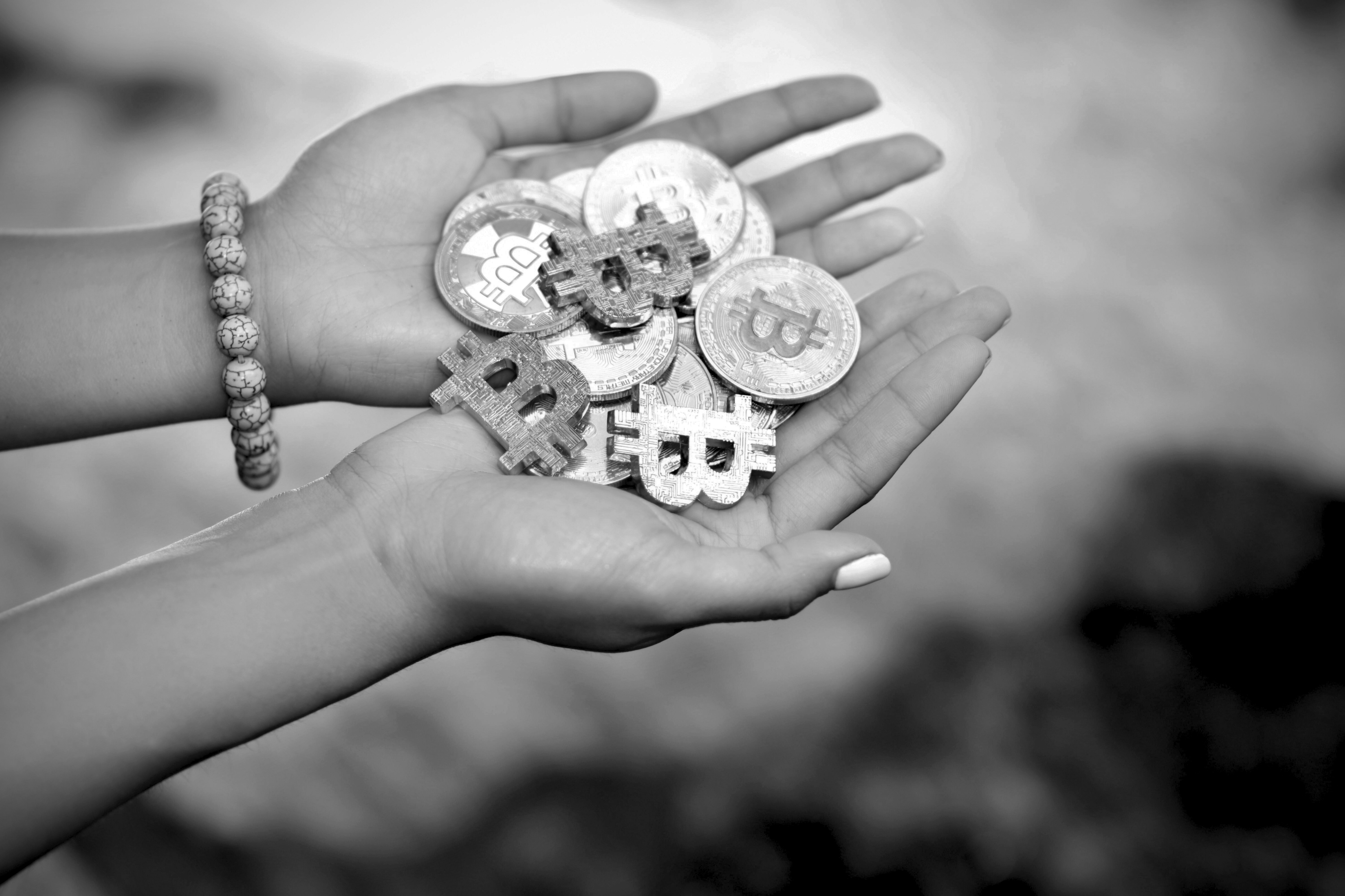 Planting coins: 05/2024