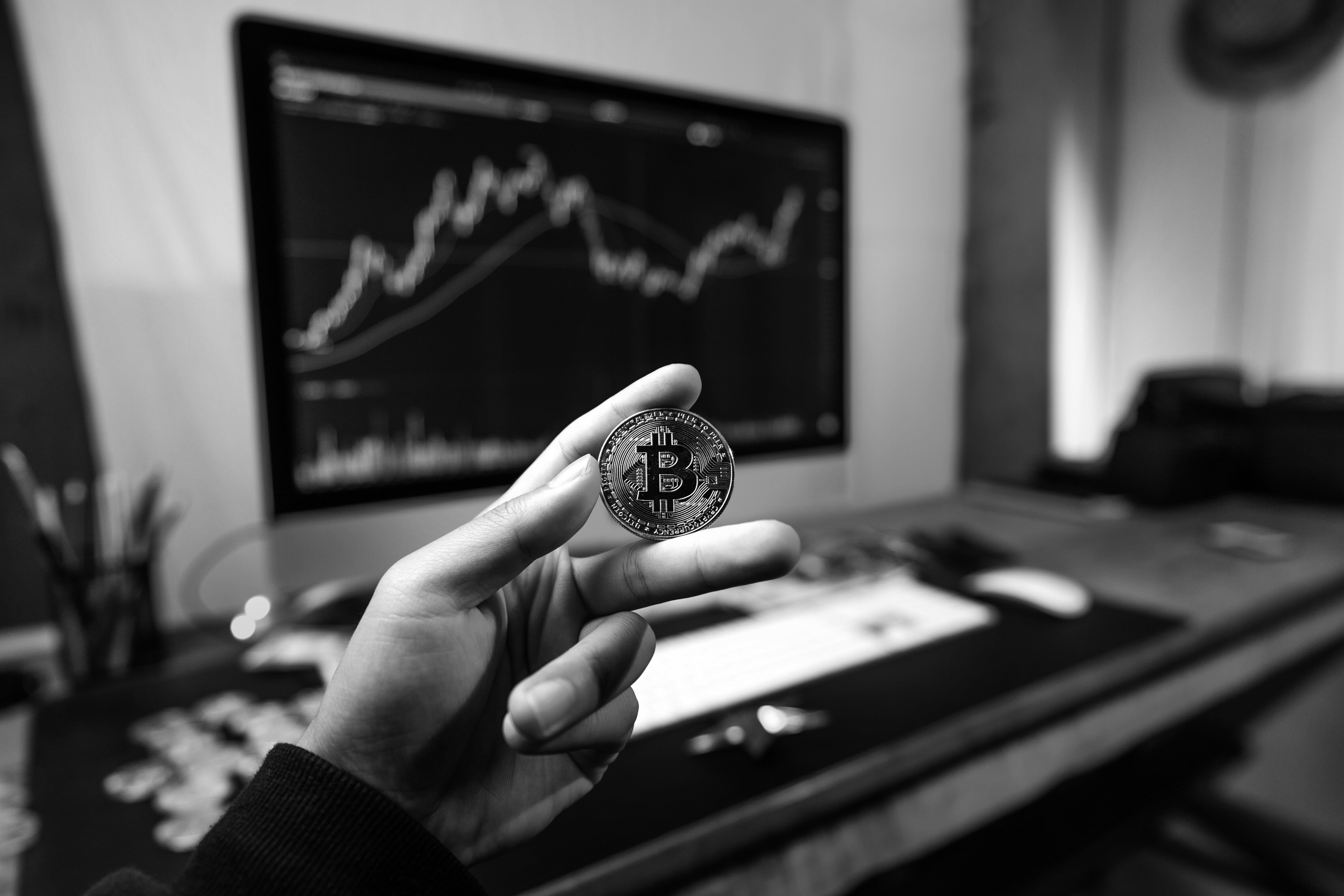 Planting Coins: 06/2024