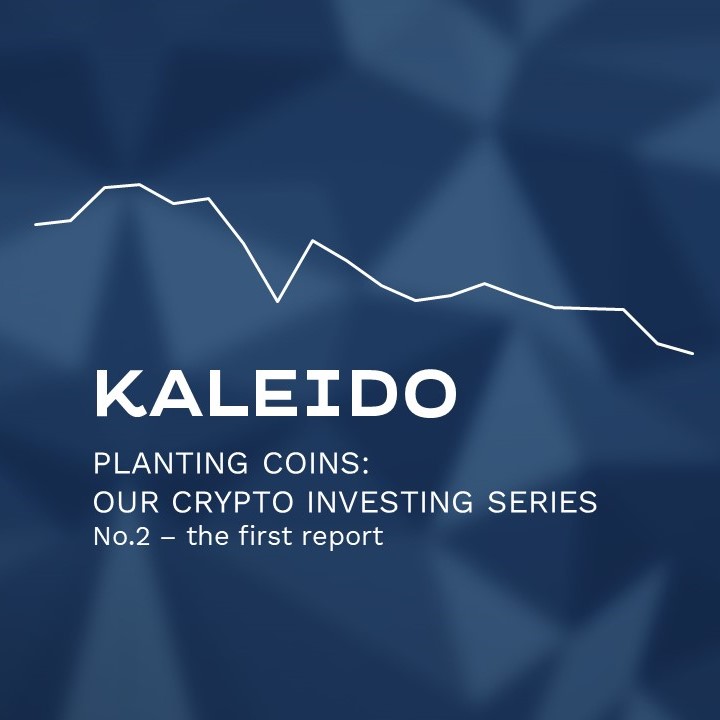 Planting Coins: the first report from our crypto portfolio