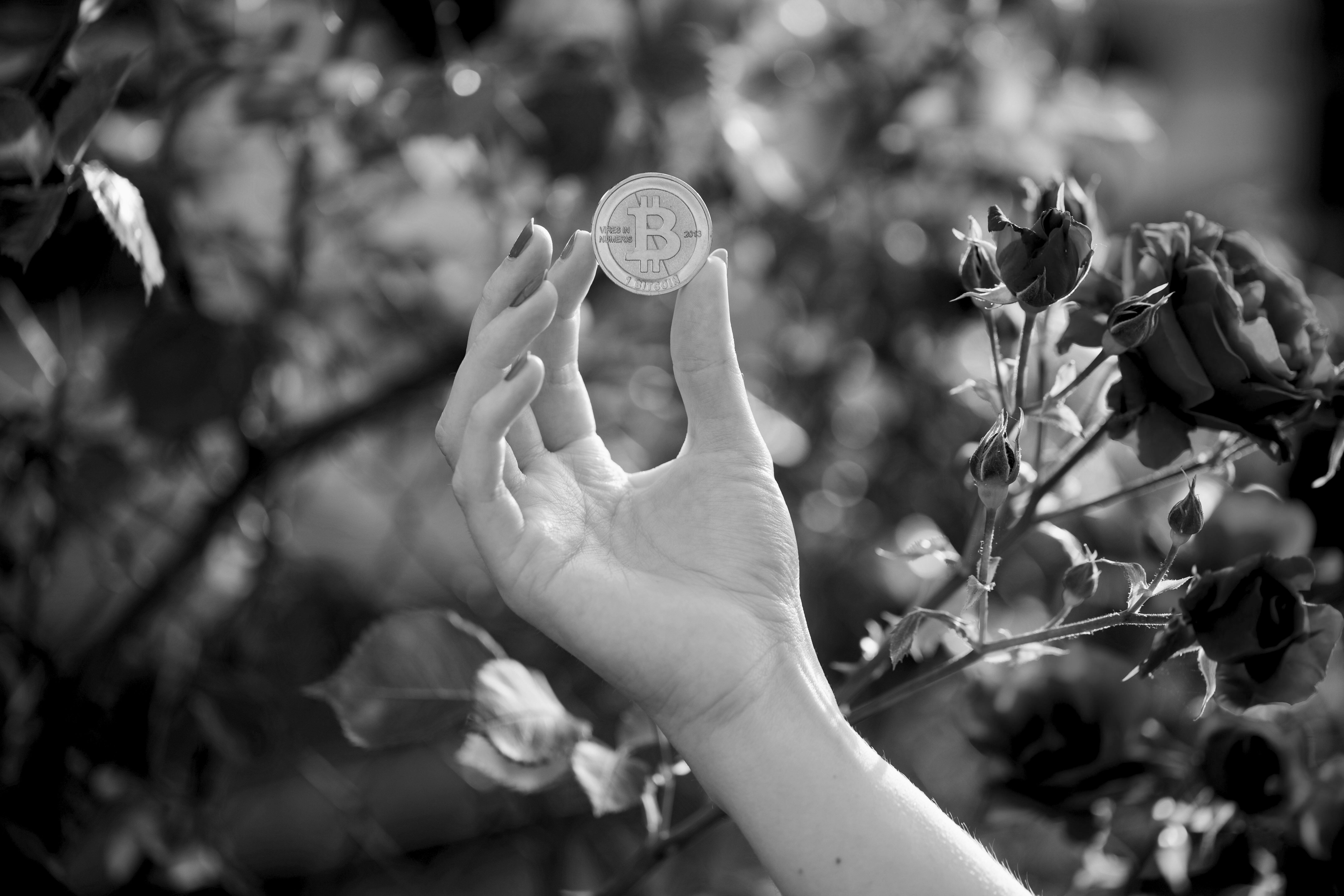 Planting coins: 04/2024